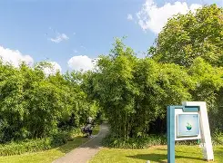 9bo.com-K欣倞膛?莘态贴(马可欣真的暗lai)